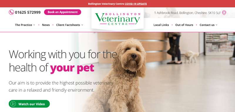 Bollington-Veterinary-Centre Best Veterinary Websites: Designs to Check Out