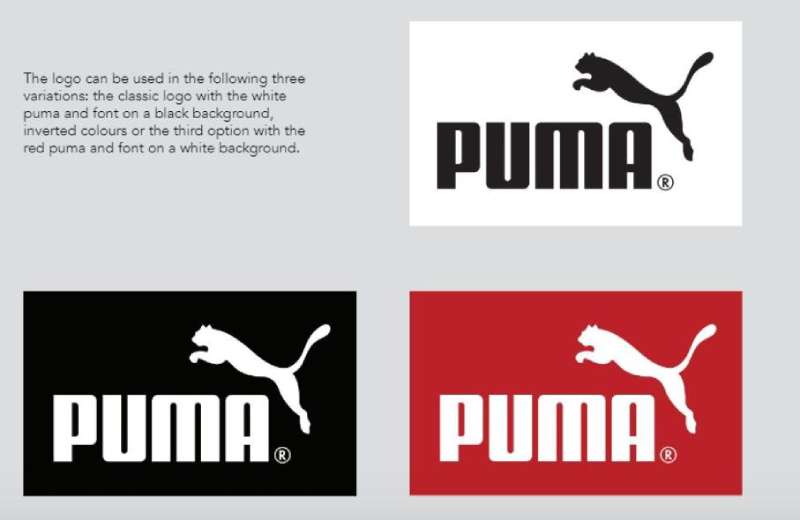 Colour-1 The Puma Logo History, Colors, Font, and Meaning