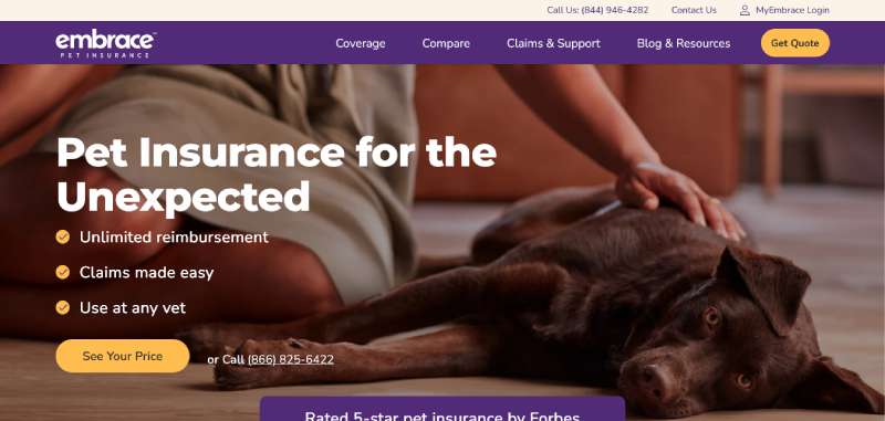 Embrace-Pet-Insurance Best Veterinary Websites: Designs to Check Out