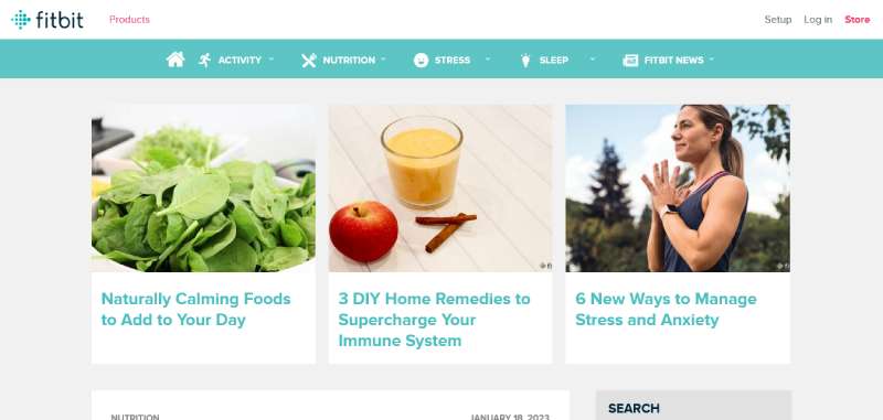Fitbit-Blog 27 Fitness Website Design Examples to Get Your Pulse Racing