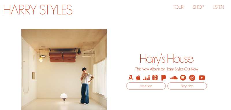 Harry-Styles 27 Musician Website Design Examples for Creative Inspiration