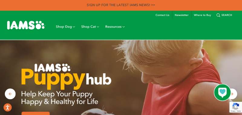 Iams Best Veterinary Websites: Designs to Check Out