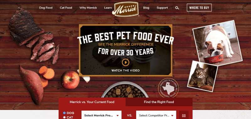 Iams1 Best Veterinary Websites: Designs to Check Out