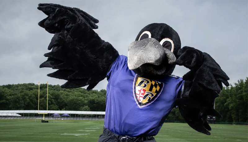 Mascot The Baltimore Ravens Logo History, Colors, Font, and Meaning
