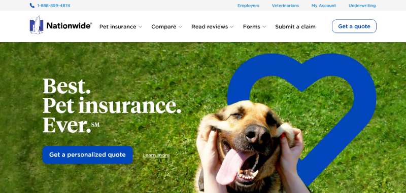 Nationwide-Pet-Insurance Best Veterinary Websites: Designs to Check Out