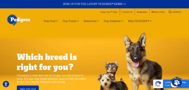 Pedigree Best Veterinary Websites: Designs to Check Out