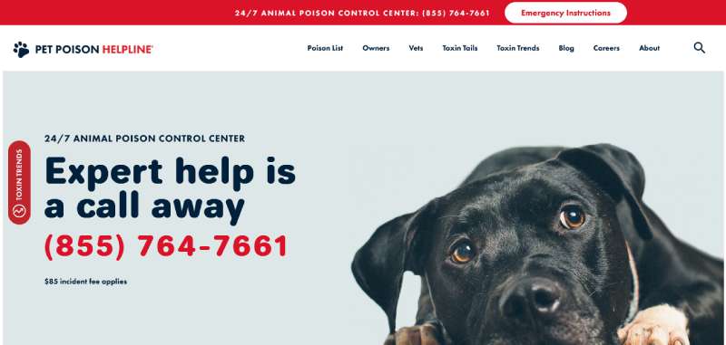 Pet-Poison-Helpline Best Veterinary Websites: Designs to Check Out