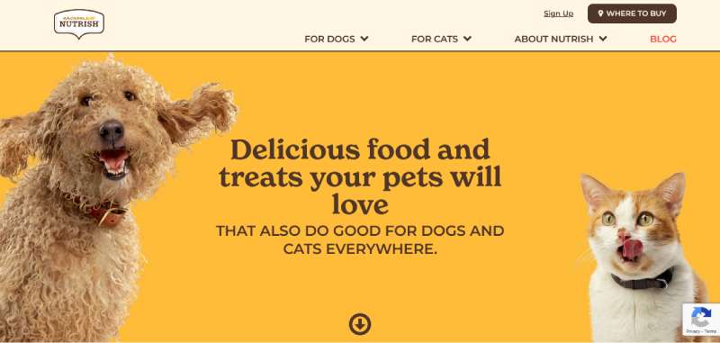 Rachael-Ray-Nutrish Best Veterinary Websites: Designs to Check Out
