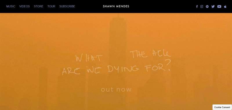 Shawn-Mendes 27 Musician Website Design Examples for Creative Inspiration
