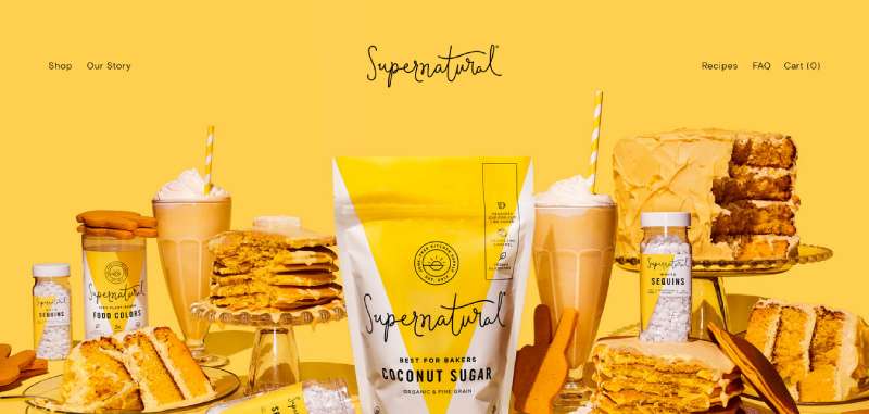 50 Squarespace Website Design Examples To Check Out
