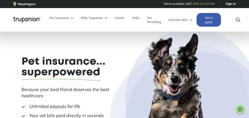 Trupanion Best Veterinary Websites: Designs to Check Out