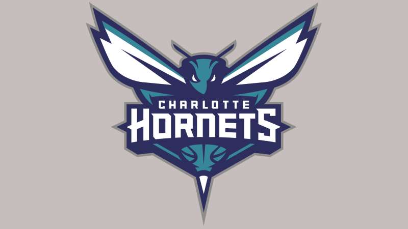 Charlotte-Hornets-logo The Charlotte Hornets Logo History, Colors, Font, and Meaning