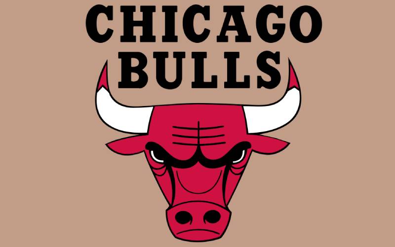 Logo-19 The Chicago Bulls Logo History, Colors, Font, and Meaning