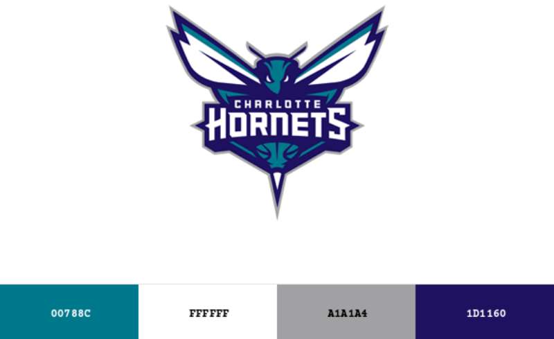 colour The Charlotte Hornets Logo History, Colors, Font, and Meaning
