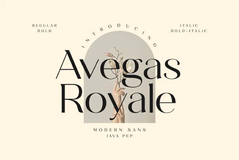 Avegas-Royale The 24 Best Fonts for Newsletters You Should Use
