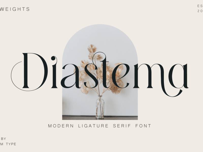 Diastema Web Typography: The 21 Best Fonts for Websites