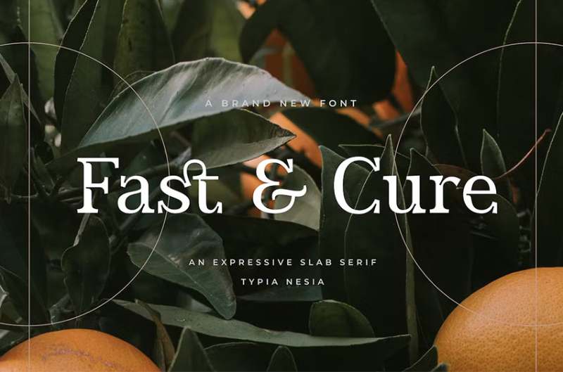 Fast-Cure The 24 Best Fonts for Newsletters You Should Use