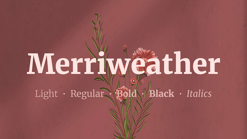merriweather Typography 101: Exploring Essential Typography Elements