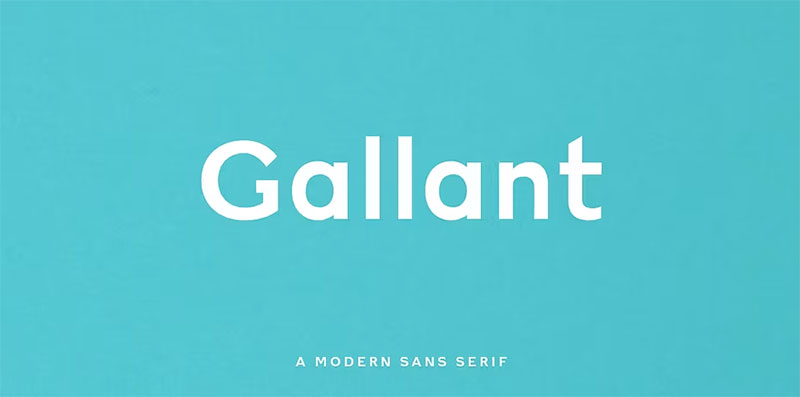 gallant Vinyl Versatility: The 52 Best Fonts for Vinyl Lettering