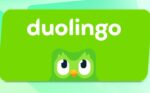 Duolingo logo