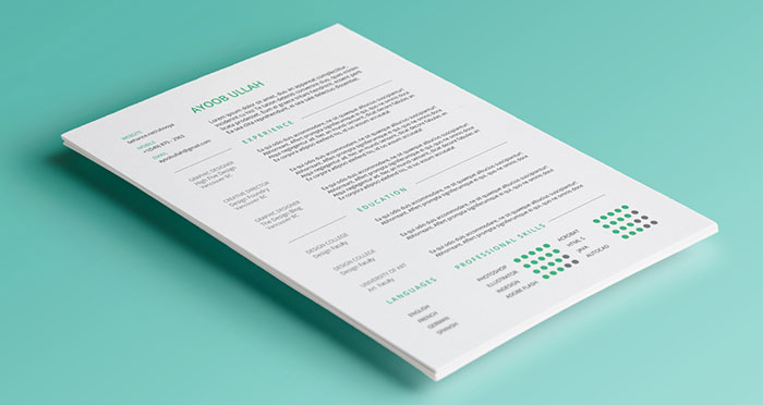 15815893 Graphic Design Resume Best Practices and 51 Examples