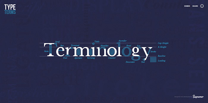 Type Terms