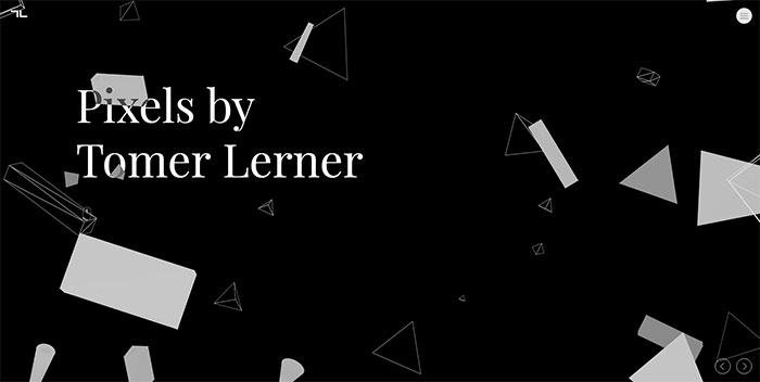 Tomer Lerner