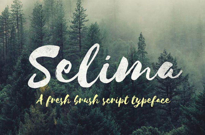 selima-free-typeface Free Handwriting Fonts To Download (57 Script Fonts)