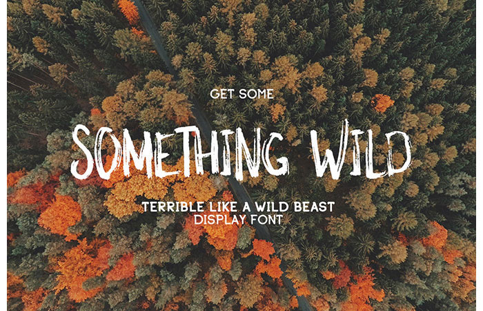 something-wild-free-font 100 Cool Fonts to Make Your Designs Stand Out
