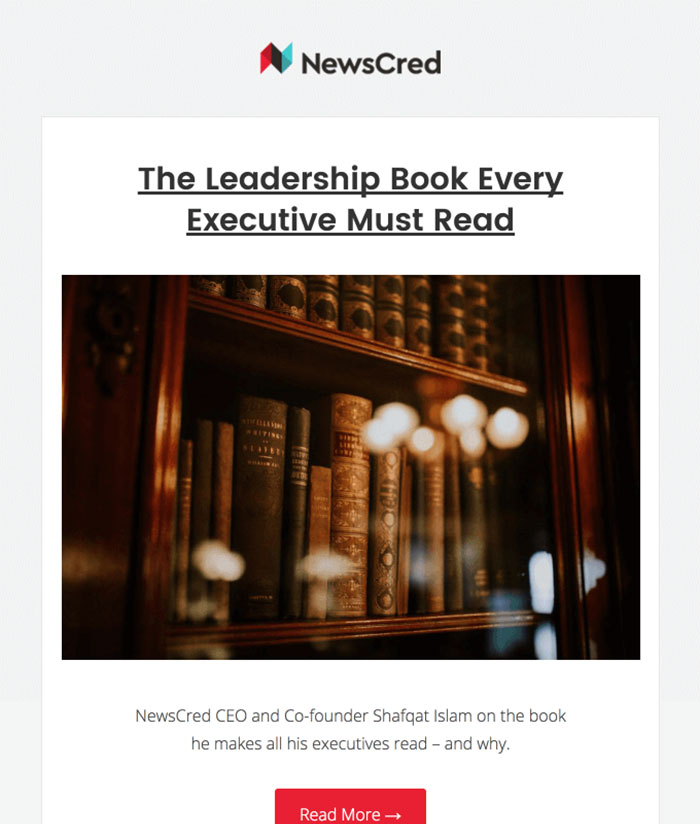 the-leadership-book Email Newsletter Design Best Practices