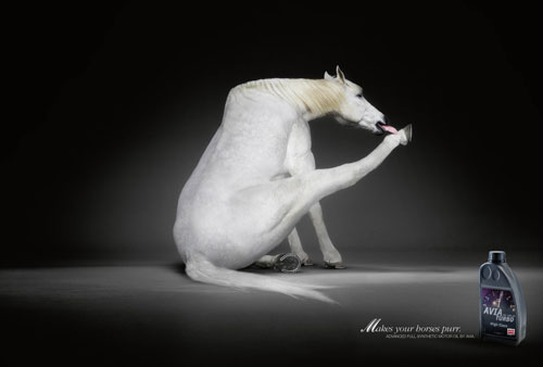 Avia-Motor-Oil---Makes-Your-Horses-Purr 41 Creative Print Advertisements You Should See