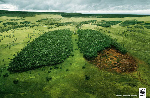 WWF 41 Creative Print Advertisements You Should See