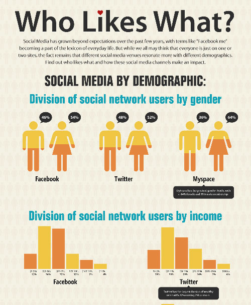 social-media-by-demographic 36 Cool Infographics To Check Out