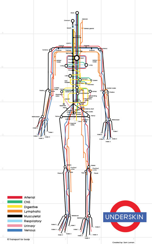 underskin-the-human-subway-map 36 Cool Infographics To Check Out