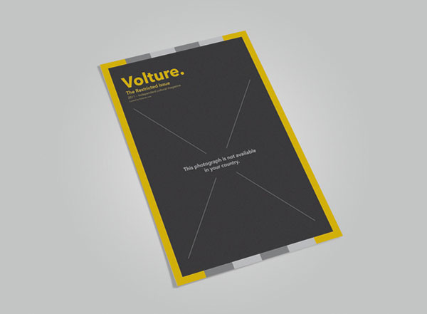 Volture-Magazine Editorial design definition, tips, and examples