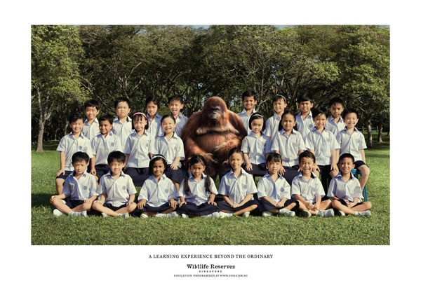 wildlife_reserves_singapore_teacher 500 Creative And Cool Advertisement Ideas