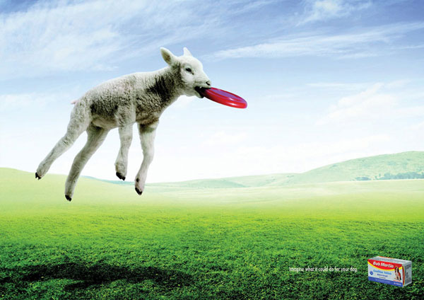 Bob-Martin---Imagine-what-it-could-do-for-your-dog 500 Creative And Cool Advertisement Ideas