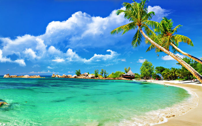1773105 129 Beach Wallpapers To Put On Your Desktop Background