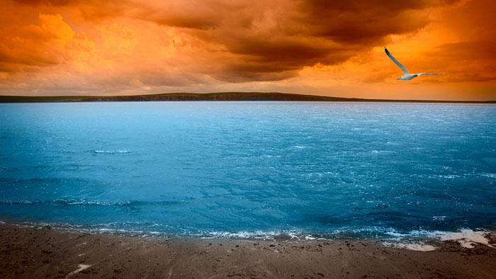 1930170 129 Beach Wallpapers To Put On Your Desktop Background