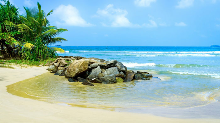 1955753 129 Beach Wallpapers To Put On Your Desktop Background