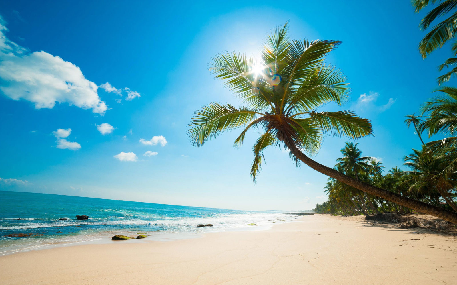 Beach-Wallpaper-Desktop-Background-101-1600x1000 129 Beach Wallpapers To Put On Your Desktop Background