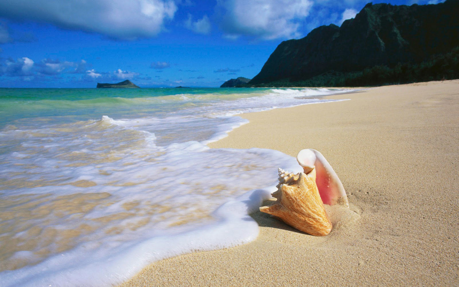 Beach-Wallpaper-Desktop-Background-103-1600x1000 129 Beach Wallpapers To Put On Your Desktop Background