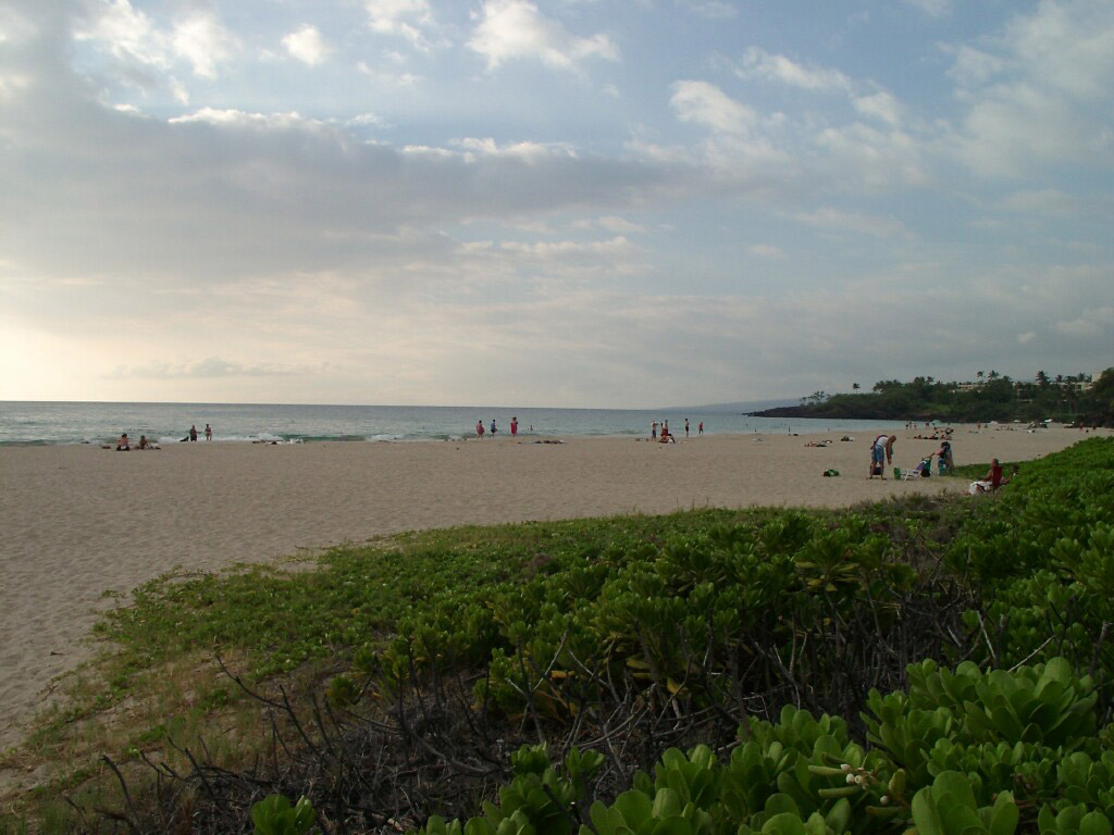 Beach-Wallpaper-Desktop-Background-68 129 Beach Wallpapers To Put On Your Desktop Background