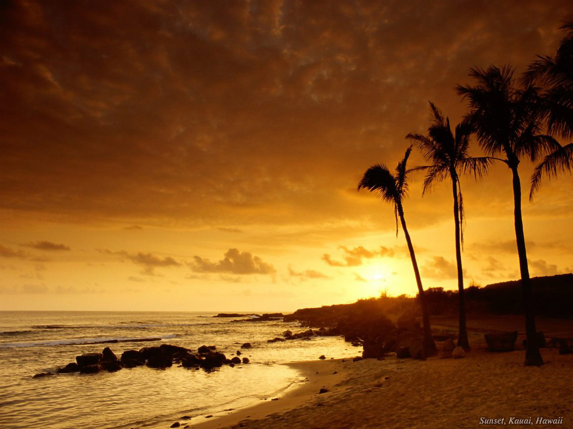 Beach-Wallpaper-Desktop-Background-71 129 Beach Wallpapers To Put On Your Desktop Background
