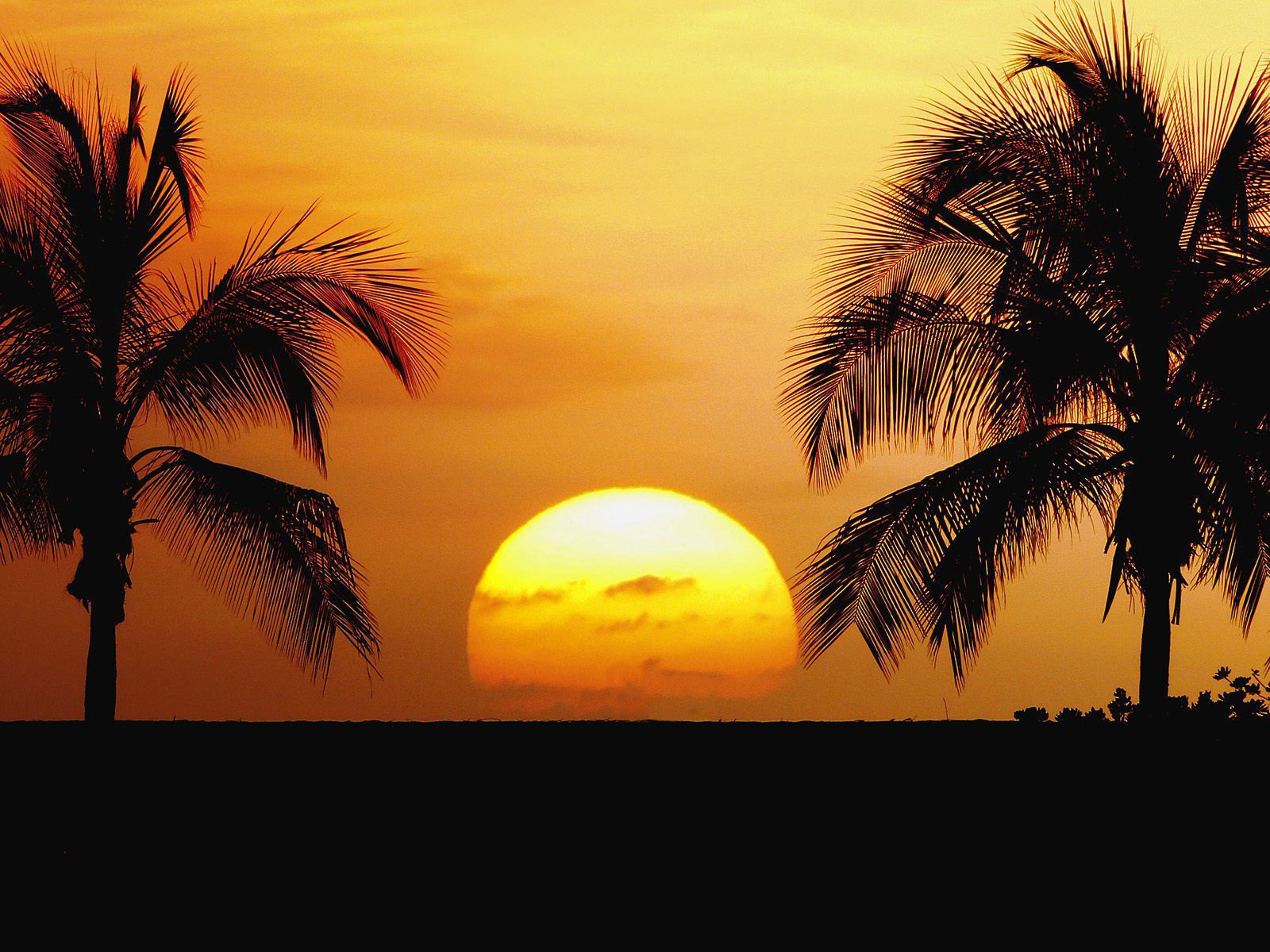 Beach-Wallpaper-Desktop-Background-77-1600x1200 129 Beach Wallpapers To Put On Your Desktop Background