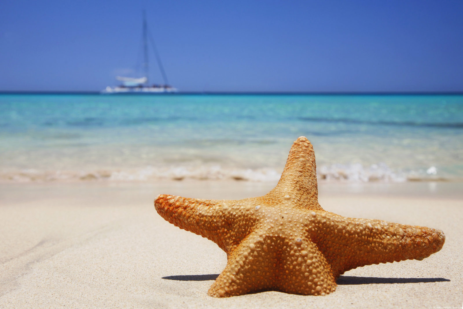 Beach-Wallpaper-Desktop-Background-92-1600x1067 129 Beach Wallpapers To Put On Your Desktop Background