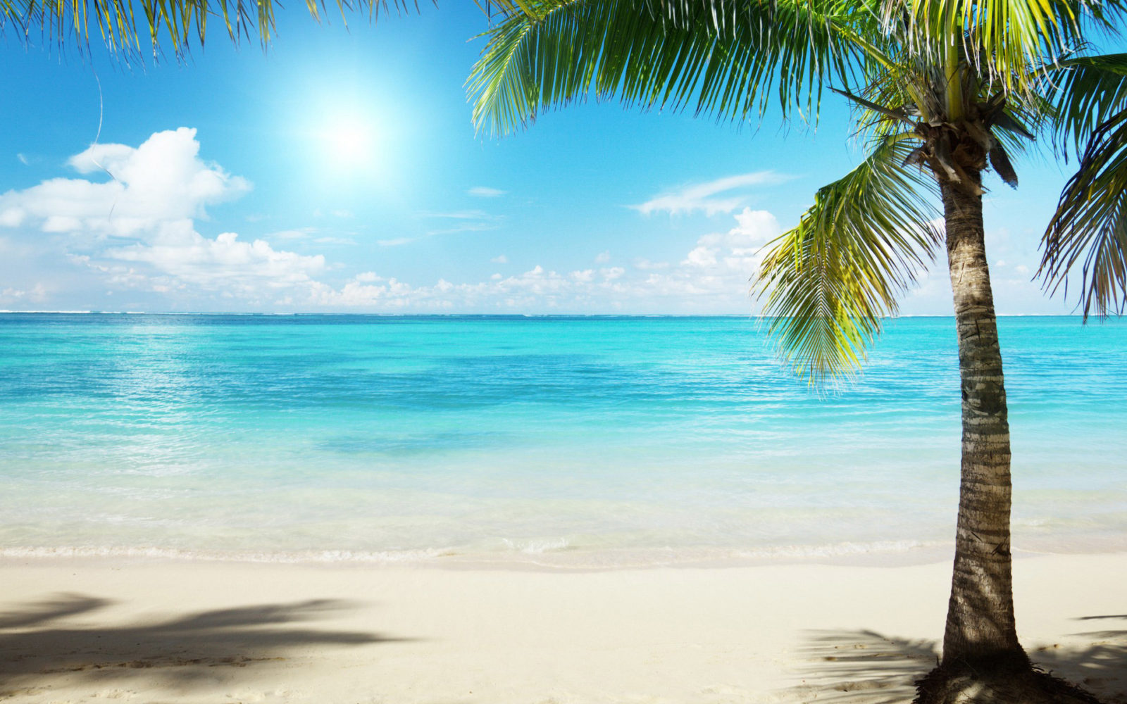 Beach-Wallpaper-Desktop-Background-99-1600x1000 129 Beach Wallpapers To Put On Your Desktop Background