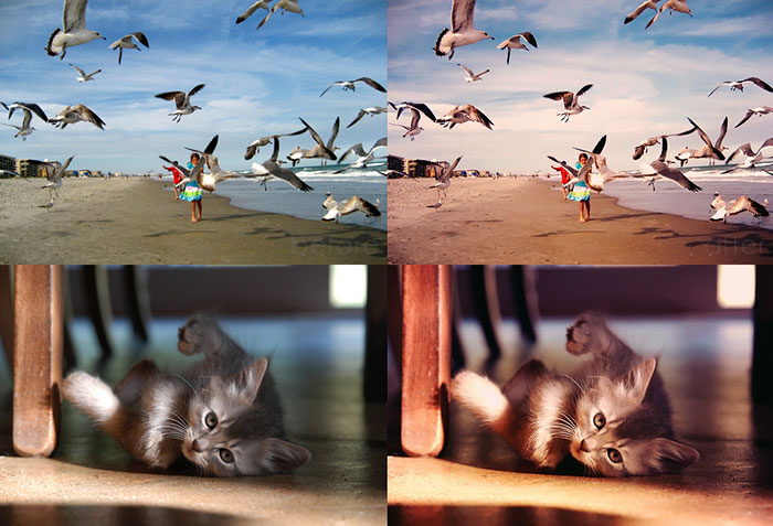 photoshop_crimson_shimmer_action_by_lieveheersbeestje-d5iw83s 88 Free Photoshop Actions For Photographers