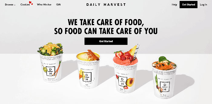 daily-harvest-700x343 Modern Website Layout Ideas (27 Examples)