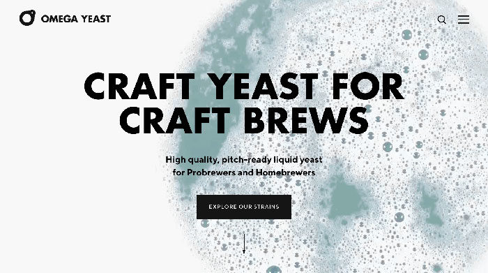 omega-yeast-700x391 Modern Website Layout Ideas (27 Examples)